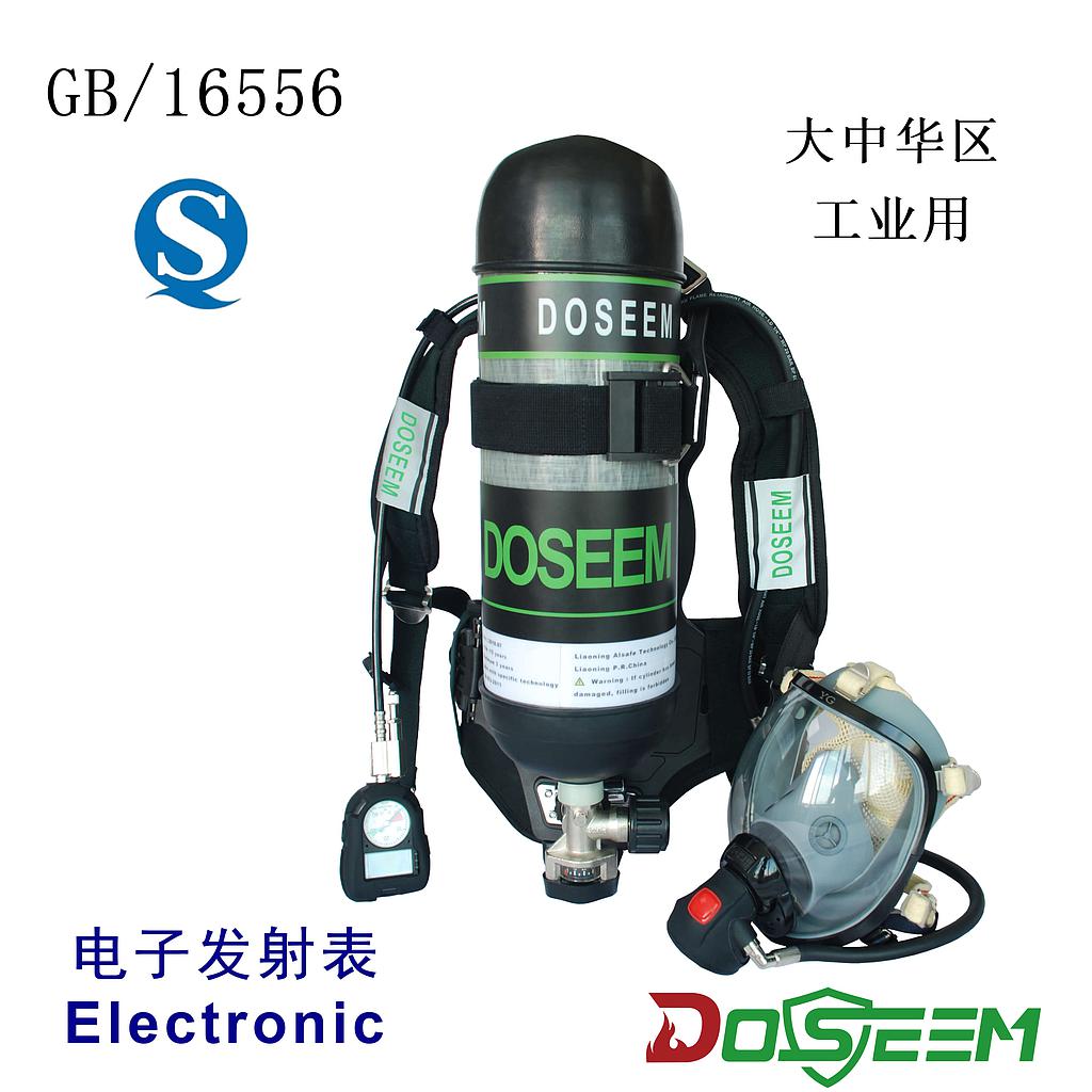 DOSEEM SCBA DS-RHZKF9/A (GB)